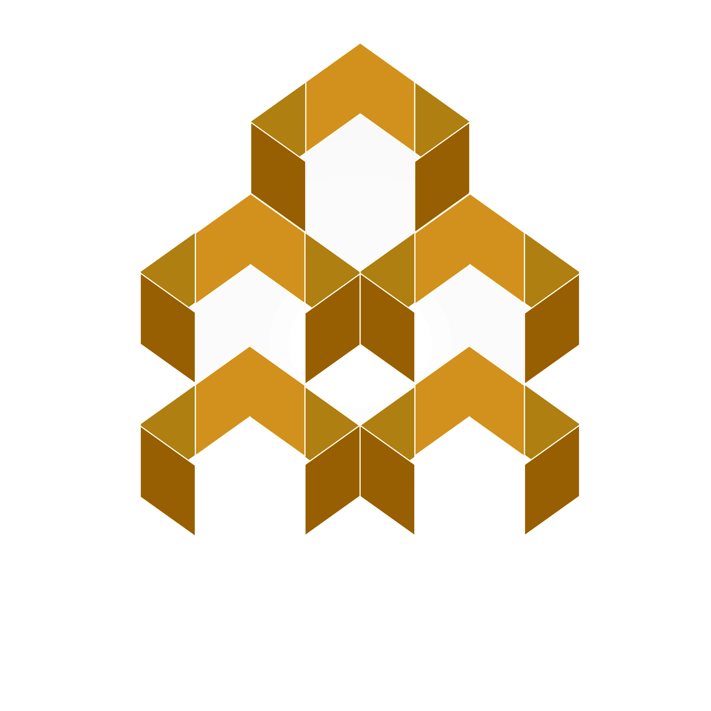 Logo PT. Notojoyo Nusantara